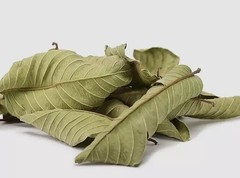 Dried whole Guava leaves Hojas de guayaba Natural Guava leaves Tea 100% Natural