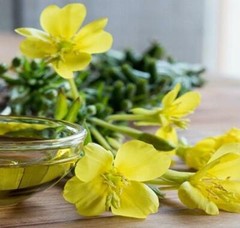 Evening Primrose Oil | 2floz to 16floz | 100% Pure Natural Cold-Pressed Chemic