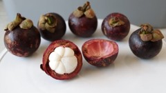 Skin Rejuvenation – MANGOSTEEN COMPLEX – Supporting Skin Health – 1B 60 Caps