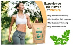 Moringa Seed Powder 8 oz (2 pack) |Superfood, Antioxidant, Immunity Booster