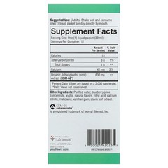 Ashwagandha Liquid, Blueberry, 600 mg, 12 Pouches, 1 fl oz (30 ml) Each