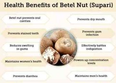 Organic Dried Areca Nut Natural Areca Catechu Betel Nut Nuts Whole 70g