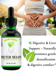 Bitter Melon Tincture 2 oz | Blood Sugar Support | Metabolism & Liver Health