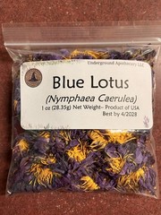 Blue Lotus Flowers Whole (Nymphaea Caerulea) 1 oz. poly bag