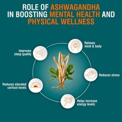Himalaya Ashwagandha 60 Tablets 100% Pure Root Extract Herbal Supplement
