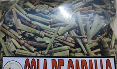 4oz Cola de Caballo Hierba Silvestre Horstail (Shavegrass)Wildcrafted 113g Tea