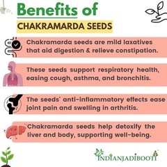 Puwar Seeds (Cassia Tora) Chakramarda Beej Ayurvedic Whole Herb-250 GRAMS