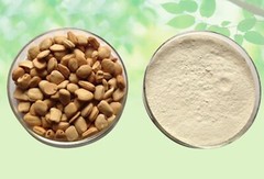 Organic Mountain Tamarind Seed POWDER Pahadi Imli Beej powder Express Ship