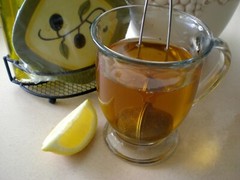 ROOIBOS HERBAL Immune Boosting TEA organic pH sticks & Stainless Infuser 4 oz