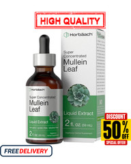 Mullein drops for Lung, Mullein Leaf Extract, Super Concentrated Tincture