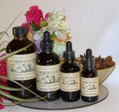 WORMWOOD Tincture antiseptic boost energy immunity ORGANIC FOLK Remedy ~