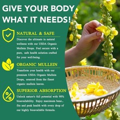 Mullein Leaf Extract with Chlorophyll for Clear Breathing – 2 Fluid Ounces