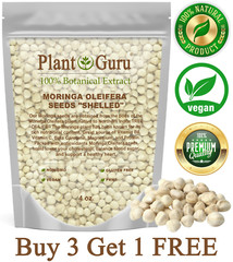 500 Moringa Oleifera Seeds Kernel 4 oz. SHELLED Fresh Organic Semilla De Moringa