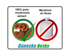 Organic Cordyceps Sinensis Mushroom High Potency 20:1 Extract Powder 3.6 oz.