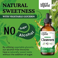 Cleavers Tincture – Herbal Detox W/Cleavers Herb – Alcohol Free Cleavers Leaf Su