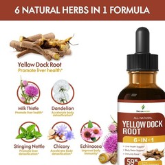Selvaherb Yellow Dock Root Organic Drops for Liver Health Support & Body Detox