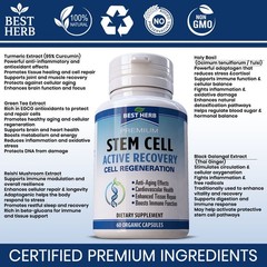2x Stem Cell Multi Formula Vitality Supplement Cellular Renewal + Tissue Repair