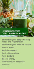 super antioxidant – STEM CELL Supplement – Organic Blue Green Algae – 3 Bottles