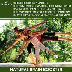 (2) MAX Strength Bacopa Monnieri Extract 1000mg Organic 120 Pills BRAIN FUNCTION