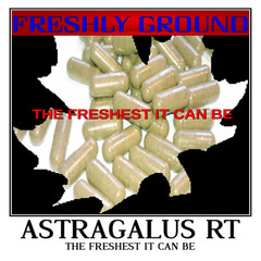 ASTRAGALUS ROOT Powder Fresh The Freshest It Can Be Top Quality 100 V Capsules