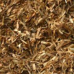 White Willow Bark BULK HERBS 1 lb.