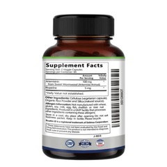 Artemisia Annua Extract Capsules Enhanced with BioPerine for Optimal Absorption
