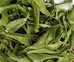 Freshly Picked Dried NEEM LEAVES Herbal Pure Organic Premium Quality Herb