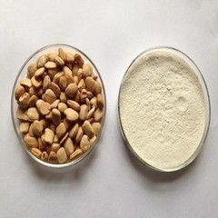 Mountain Tamarind Seed Powder (Pahadi Imli Beej Powder) Express Ship|250g to 5kg