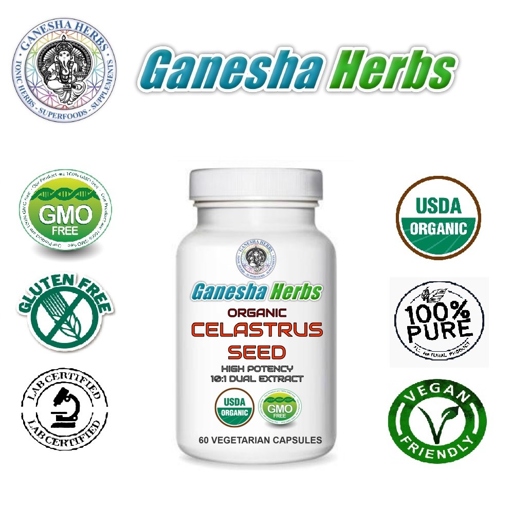 ORGANIC CELASTRUS PANICULATUS SEED HIGH POTENCY 10:1 EXTRACT 60 CAPSULES
