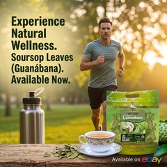 Organic Soursop Leaves 12oz3 Pack ~1200 Dried Leaves Graviola Guanábana Leaf Tea