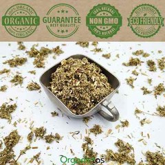 Mugwort Organic Dried Cut Wildcrafted Artemisia Vulgaris 100 % Premium Quality