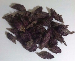 7 grams Indian Warrior Flowers (Pedicularis Densiflora) Wildharvested USA