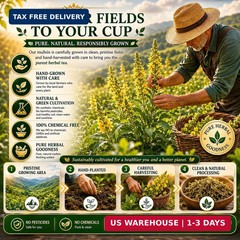 65 Count Value Pack Premium Mullein Leaf Tea Bags – 100% Pure Natural Herbal …