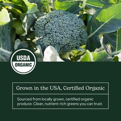 Organic Green Guard Powder – Natural Detox, Antioxidant & Nutritional Superfood