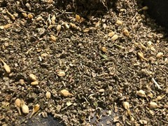 No.32 Herbal Blend Mix – Ginger Jasmine Wild Lettuce Skullcap +Plus Other Herbs!