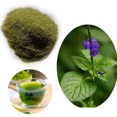 Blue Vervain Herb Leaves Powder Tea Porterweed stachytarpheta-jamaicensis 25g