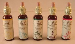 Bach Flower Remedies, Vine 20ml BBE 03/2027