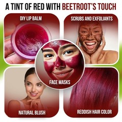 Premium Organic Beetroot Powder – Beetroot Supplement Energy Boost 250g Ideas99