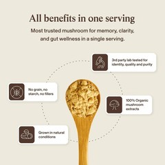 Real Mushrooms Lion’s Mane Supplement Powder – Organic 5.29 Ounce (Pack of 1)