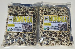 Moringa, Organic moringa Oleifera,Premium moringa seeds, semillas de moringa 4oz