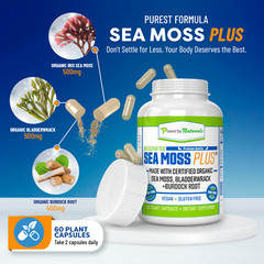 USDA Organic Sea Moss Capsules – Pure Irish Sea Moss Bladderwrack Burdock Root