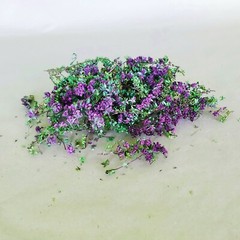 Icelandic wild harvested Arctic Thyme (Thymus arcticus) Whole dried natural herb