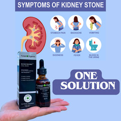 Kidney Support Uric Acid Cleanse Herbal Blend-Kidney Health Stone Breaker