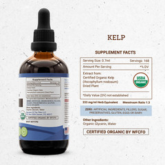 Secrets Of The Tribe Kelp Tincture Alcohol-FREE