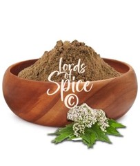 Valerian Root Extract Powder – Traditional Nerve Support – USA