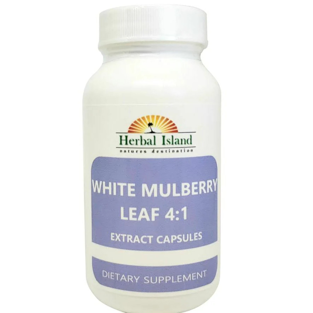 White Mulberry Leaf Extract 4:1 Capsules (500mg Each)