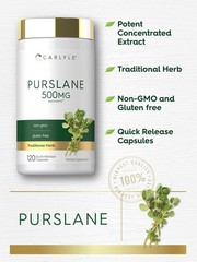 Purslane Supplement 500mg | 120 Capsules | Non GMO, Gluten Free | by Carlyle