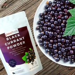 powbab Black Currant Powder – 100% USA Grown Whole Powder (Ribes Nigrum) (6 oz)