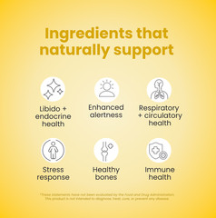 Solle Naturals SolleExcell Herbal Supplement 21 Packets – New!