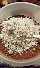 Triple Blast: Chaga, Reishi, Turkey Tail Mushroom Chopped Blend 4 oz